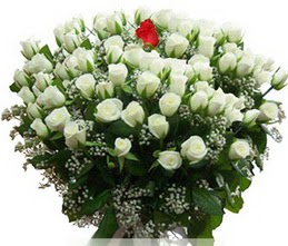  Eryaman �i�ek�i  �i�ek , �i�ek�i , �i�ek�ilik  100 adet beyaz 1 adet kirmizi g�l buketi