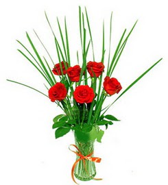  Eryaman �nternetten �i�ek sipari�i  6 adet k�rm�z� g�llerden vazo �i�e�i