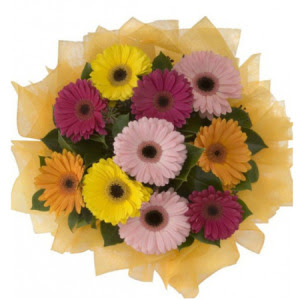  Eryaman �i�ek yolla , �i�ek g�nder , �i�ek�i   11 adet kar���k gerbera �i�e�i buketi