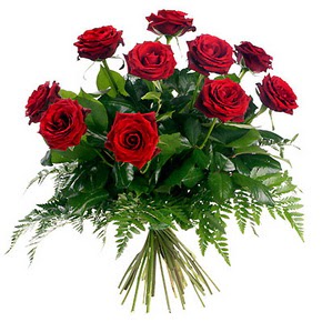  Eryamandaki �i�ek�iler kaliteli taze ve ucuz �i�ekler  10 adet k�rm�z� g�lden buket