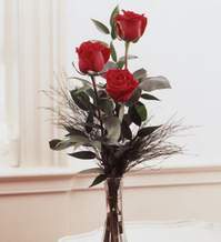  Eryaman �i�ek�i  �i�ek , �i�ek�i , �i�ek�ilik  Vazoda 3 adet g�zel g�l