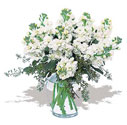  Eryaman �i�ek g�nder �i�ek servisi , �i�ek�i adresleri  Vazoda beyaz g�zel sebboylar