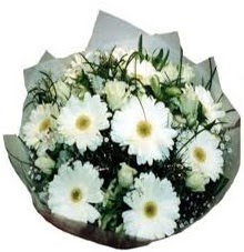 E�ime sevgilime en g�zel hediye  �i�ek sipari�i Eryaman uluslararas� �i�ek g�nderme 