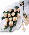  Eryaman �i�ek g�nderme sitemiz g�venlidir  11 adet Somon renkli g�ller