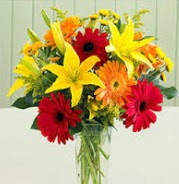 1 dal kazablanka ve 9 adet gerbera �i�ek vazosu