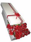  Eryaman �i�ek g�venli kaliteli h�zl� �i�ek  11 adet 1.kalite magnum g�ller