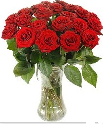  Eryaman �i�ek�i ankaraya �i�ek yolla �i�ek�iler  Vazoda 15 adet k�rm�z� g�l tanzimi