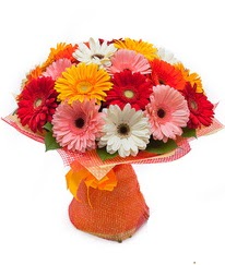Renkli gerbera buketi  �i�ek yolla Eryaman 14 �ubat sevgililer g�n� �i�ek 