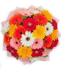 15 adet renkli gerbera buketi  �i�ek�i Eryaman cicekciler , cicek siparisi 