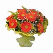  Eryaman online �i�ek�i , �i�ek sipari�i  11 adet se�me gerbera �i�egi