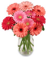vazo i�erisinde 13 adet gerbera �i�e�i  Eryaman �i�ek�i telefonlar� eryaman �i�ek 