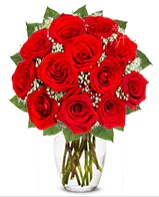 12 adet vazoda k�pk�rm�z� g�l  Eryaman �i�ek g�nder �i�ek servisi , �i�ek�i adresleri 