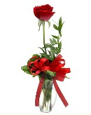 vazo i�erisinde 1 adet k�rm�z� g�l  Eryaman �i�ek g�venli kaliteli h�zl� �i�ek 