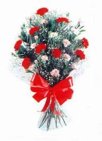  Eryaman �i�ek g�venli kaliteli h�zl� �i�ek  Karanfillerden g�zel bir demet