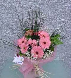  Eryaman �i�ek g�nderme online �i�ek�i  Pembe gerbera mevsim �i�ekleri