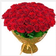 51 adet g�l 1 g�nl���ne indirimde  Eryaman �i�ek g�venli kaliteli h�zl� �i�ek  