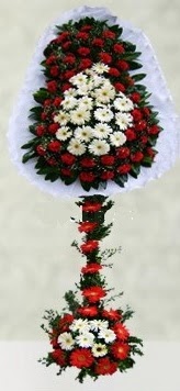  Eryaman �i�ek�i  �i�ek , �i�ek�i , �i�ek�ilik  �ift katl� d���n a��l�� �i�e�i
