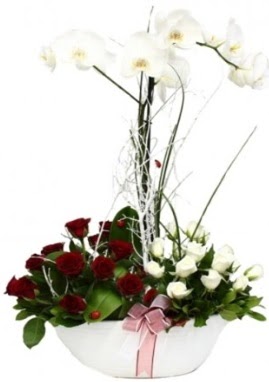 Tek dal beyaz orkide 8 beyaz 8 k�rm�z� g�l  Eryaman �i�ek g�nderme sitemiz g�venlidir 