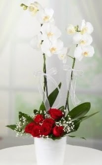 2 dall beyaz orkide 7 adet krmz gl  Eryaman iekiler iek online iek siparii 