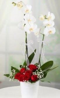 2 dall� beyaz orkide 7 adet k�rm�z� g�l  Eryaman �i�ek�iler �i�ek online �i�ek sipari�i 