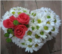 3 adet k�rm�z� g�l mika kalptte papatyalar  Eryaman �i�ek�i  �i�ek , �i�ek�i , �i�ek�ilik 