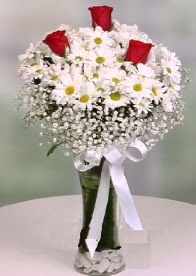 Cam i�inde papatyalar 3 adet k�rm�z� g�l  �i�ek yolla Eryaman 14 �ubat sevgililer g�n� �i�ek 