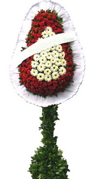 �ift katl� d���n nikah a��l�� �i�ek modeli  Eryaman �i�ek yolla , �i�ek g�nder , �i�ek�i  