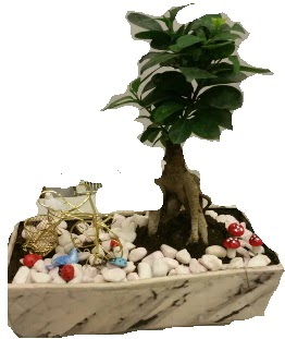Japon aac bonsai sat  iek yolla Eryaman 14 ubat sevgililer gn iek 