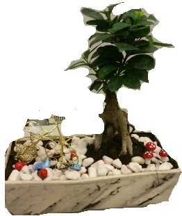 Japon a�ac� bonsai sat���  �i�ek yolla Eryaman 14 �ubat sevgililer g�n� �i�ek 