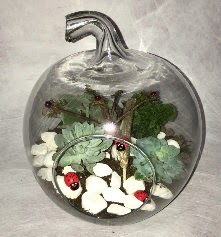 K���k terrarium elma 3 kakt�s  Eryaman �i�ek�i ankaraya �i�ek yolla �i�ek�iler 