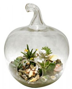 Orta boy elma terrarium 5 kakt�s  Eryaman �i�ek g�nder �i�ek servisi , �i�ek�i adresleri 