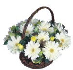  Eryaman �i�ek�i telefonlar� eryaman �i�ek  Sepet i�inde  gerbera aranjmani 