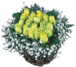 Eryaman �i�ek�i  �i�ek , �i�ek�i , �i�ek�ilik  Sari harika bir g�l sepeti