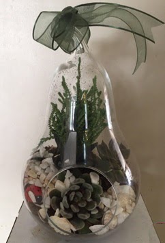 Orta boy armut terrarium 3 kakt�s  Ankara Eryaman �i�ek sipari�i vermek 
