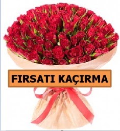 SON 1 G�N �THAL B�Y�KBA� G�L 101 ADET  Eryaman �i�ek�i  �i�ek , �i�ek�i , �i�ek�ilik  