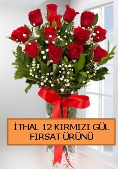  �thal k�rm�z� 12 adet kaliteli g�l  Ankara Eryaman �i�ek yolla 