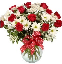 12 adet k�rm�z� g�l papatya vazosu s�per  Eryaman �i�ek g�venli kaliteli h�zl� �i�ek 