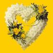  Eryaman �i�ek g�venli kaliteli h�zl� �i�ek  1.20m x 1m  Gerbera - G�ller