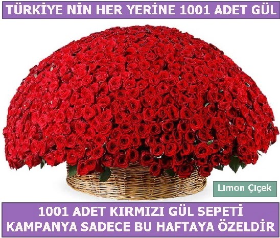 1001 Adet k�rm�z� g�l Bu haftaya �zel  Eryaman �i�ek yolla , �i�ek g�nder , �i�ek�i  