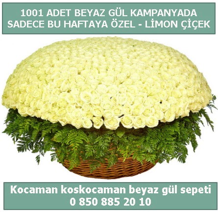 1001 adet beyaz g�l sepeti �zel kampanyada  Ankara Eryaman yurti�i ve yurtd��� �i�ek sipari�i 