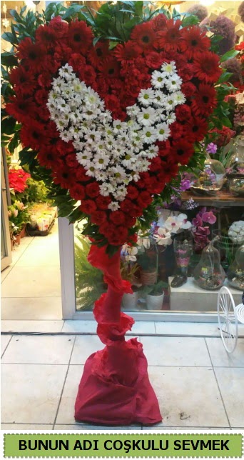 Co�kulu bir a�k �i�e�i  Ankara Eryaman �i�ek yolla 
