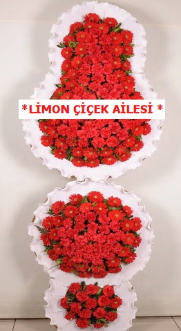3 katl� k�rm�z� d���n a��l�� �i�e�i  Eryamandaki �i�ek�iler kaliteli taze ve ucuz �i�ekler 