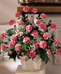  Eryaman �i�ek g�nder �i�ek servisi , �i�ek�i adresleri  Minyat�r ve pembe karanfiller