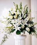  Eryaman �i�ek�i  �i�ek , �i�ek�i , �i�ek�ilik  Sebboy g�l kazablanka asalet