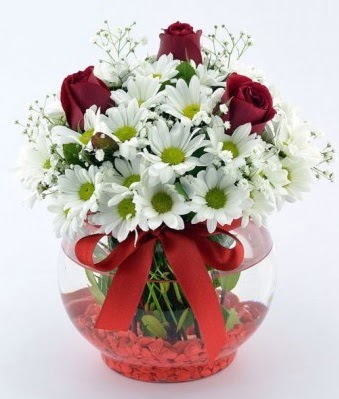 Fanusta 3 G�l ve Papatya  Eryaman �i�ek�i  �i�ek , �i�ek�i , �i�ek�ilik  