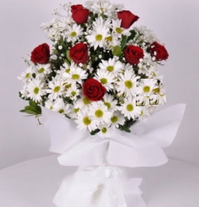 7 adet k�rm�z� g�l ve papatyalar krizantem  Eryaman �i�ek�i  �i�ek , �i�ek�i , �i�ek�ilik 