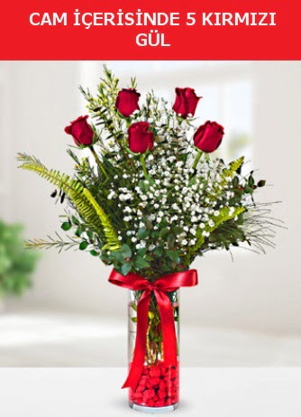 Cam i�erisinde 5 adet k�rm�z� g�l  Eryaman �i�ek�i telefonlar� eryaman �i�ek 