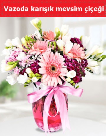 Vazoda kar���k mevsim �i�e�i  Eryaman �nternetten �i�ek sipari�i 