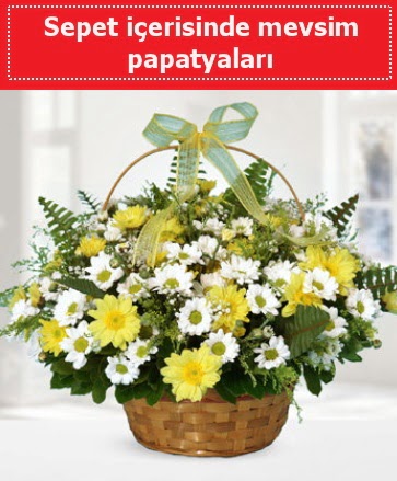 Sepet i�erisinde mevsim papatyalar�  Ankara Eryaman �i�ek yolla 