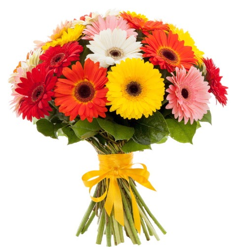 Gerbera demeti buketi  Eryaman �i�ek g�nderme sitemiz g�venlidir 